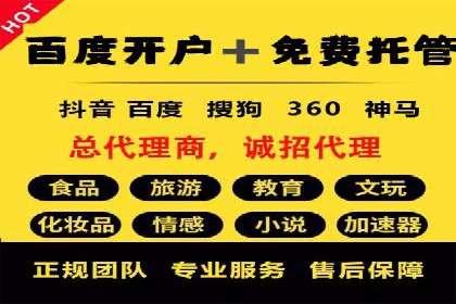 成功案例分享：托管竞价SEM优化策略